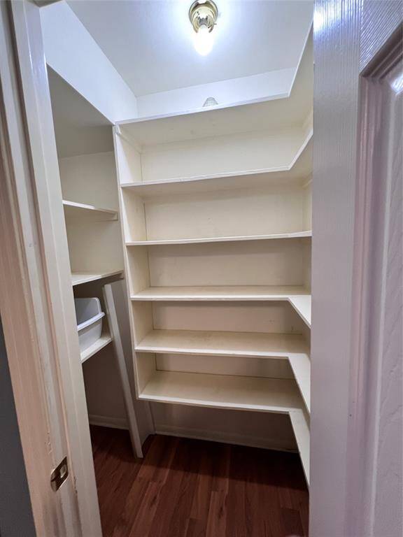 very spacious pantry