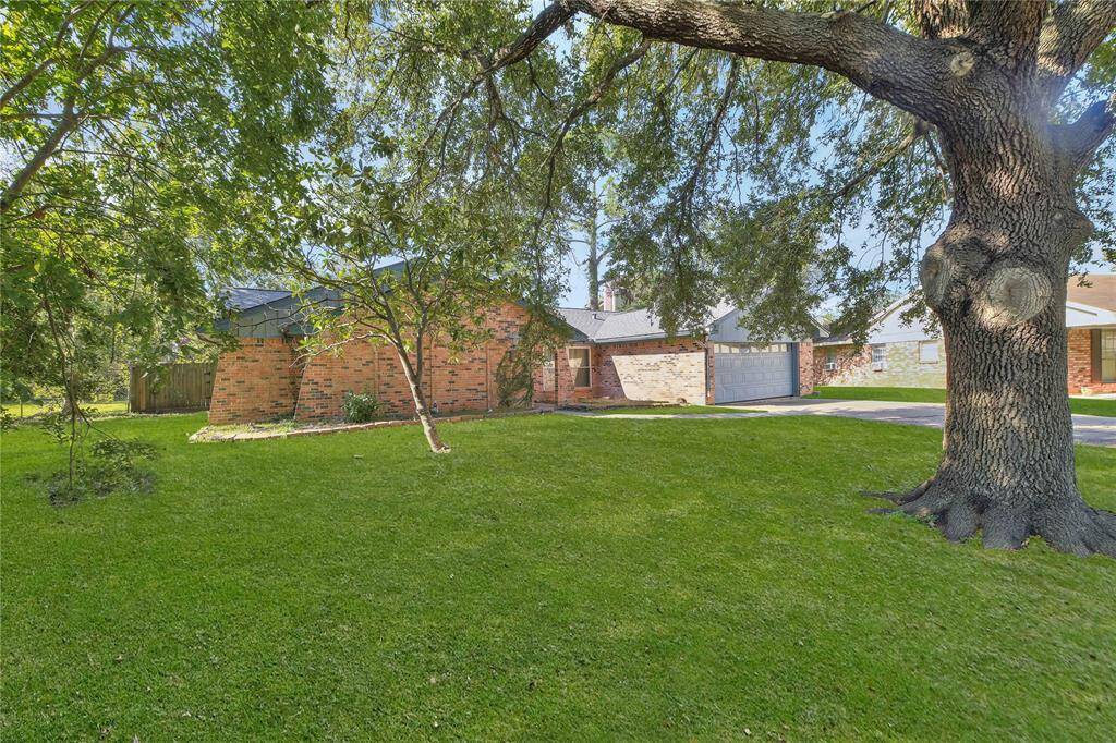 Front yard