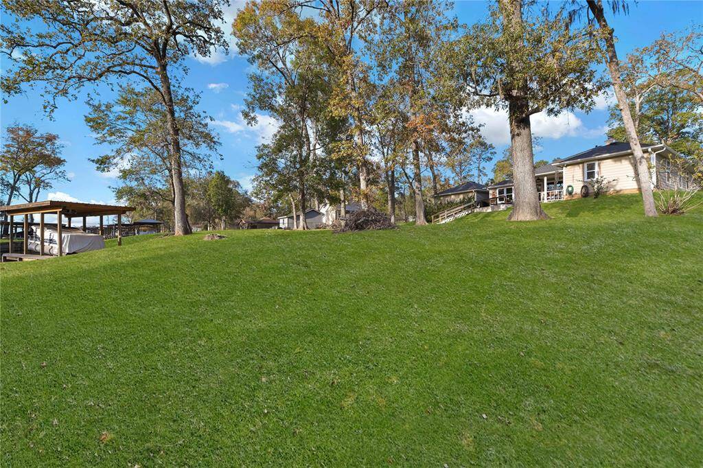 Back yard.