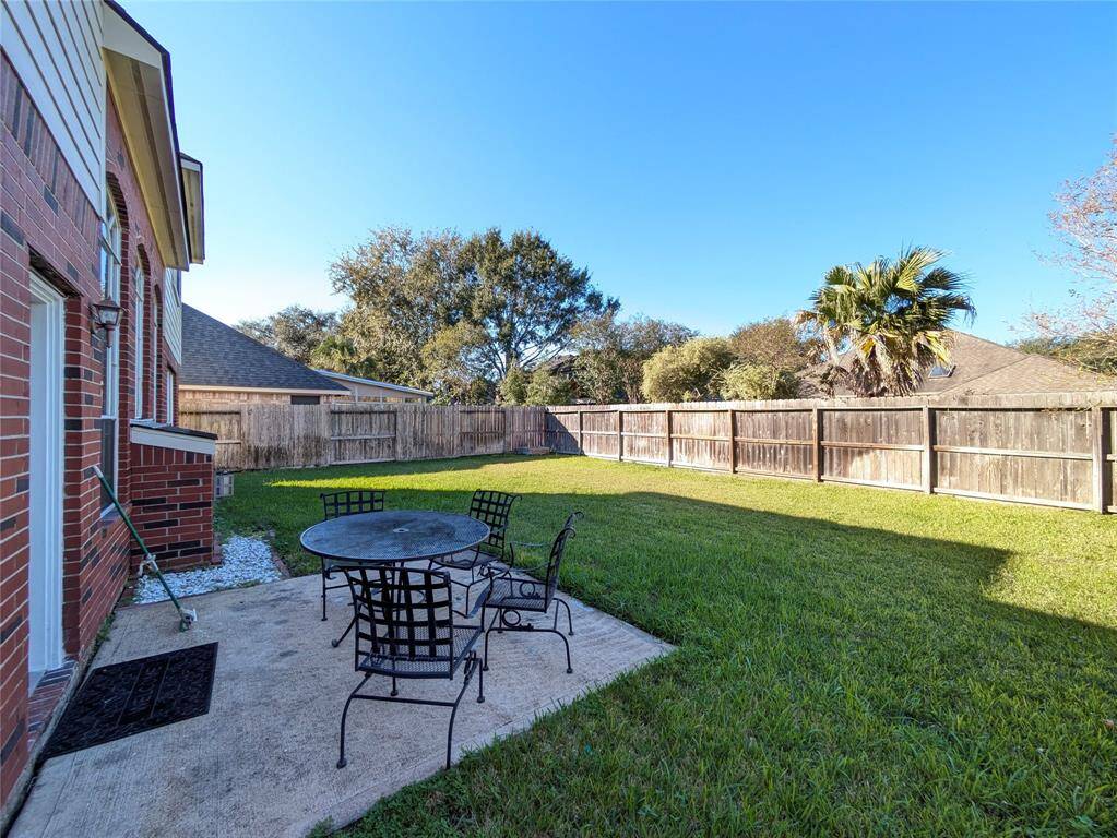 Backyard1