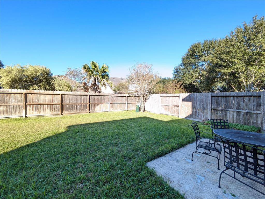 Backyard2