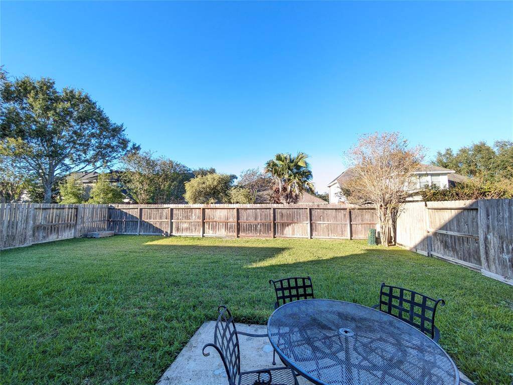 Backyard3