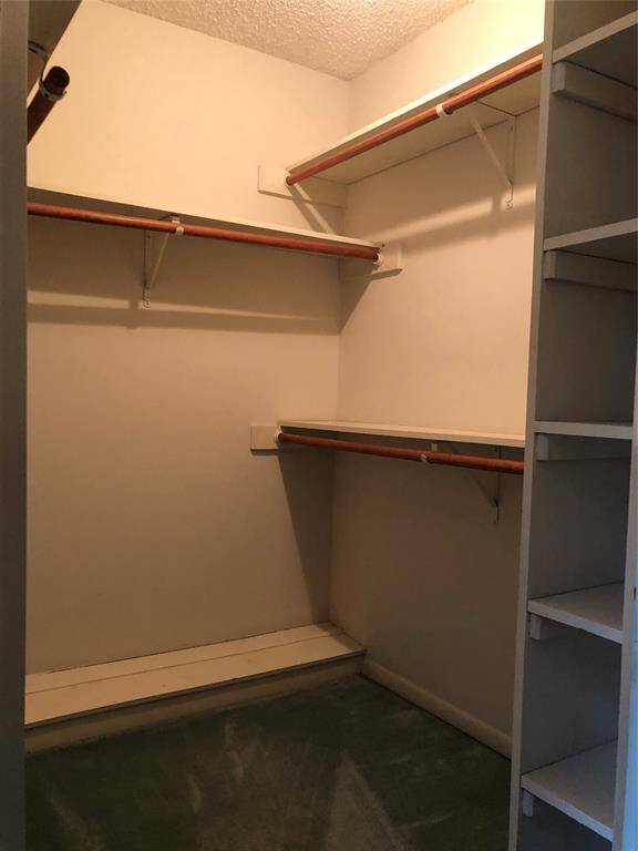 Primary Closet 2