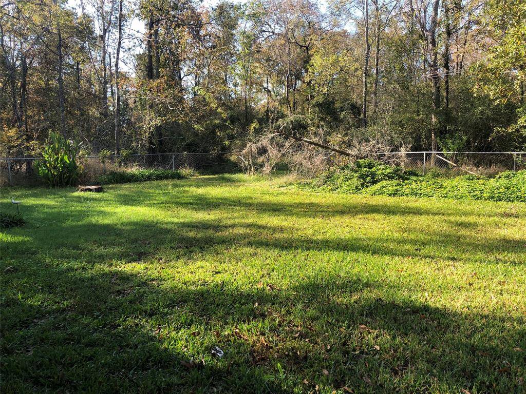 Yard 3