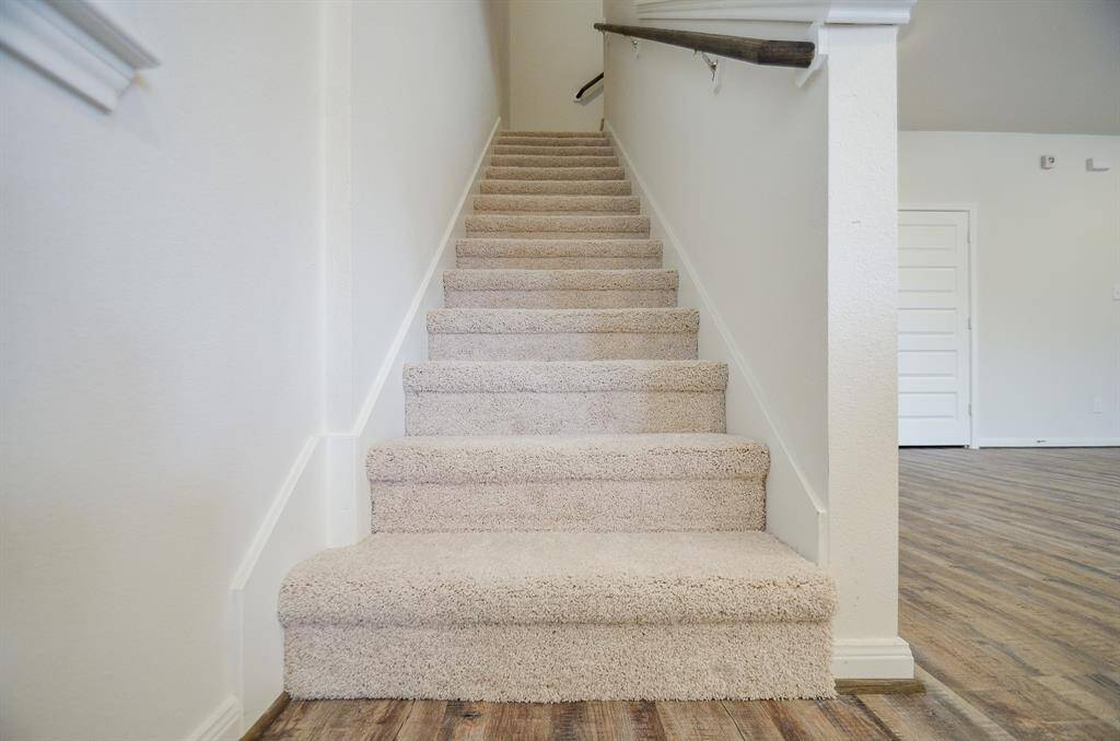 Plush carpeted staircase, leading to the upper level of the home.