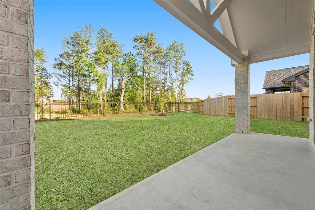 Green grass added to enhance photo.