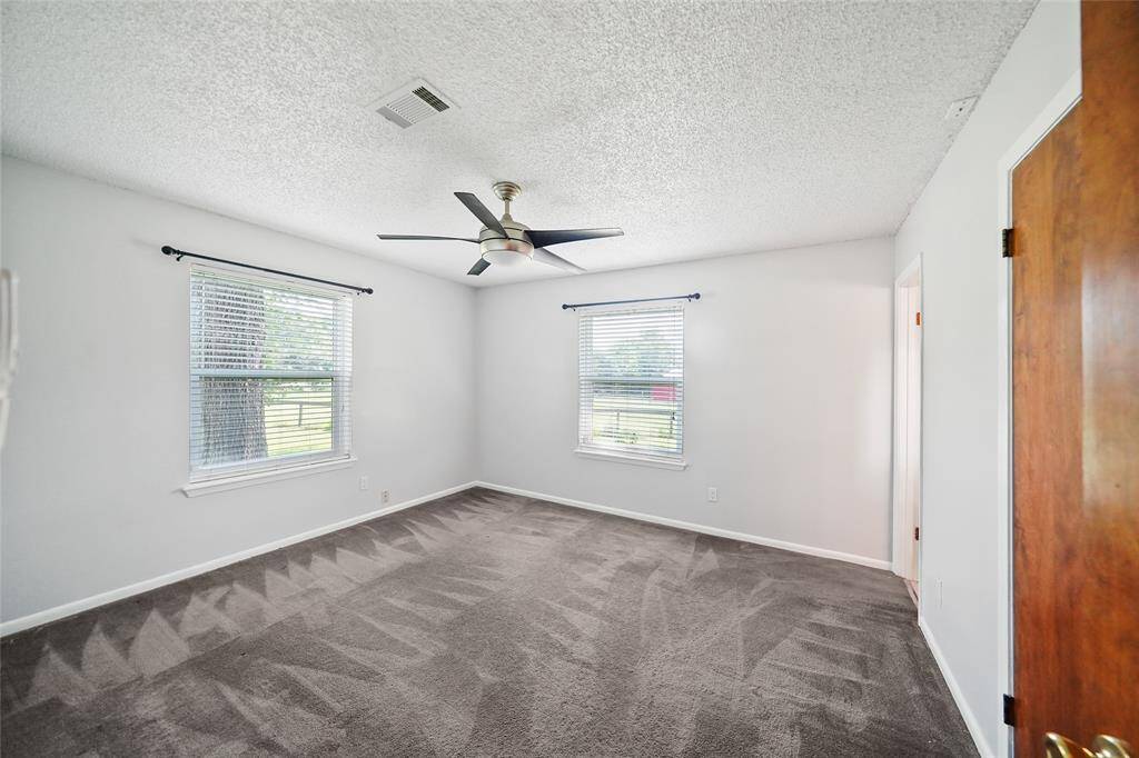 Tons of natural light.