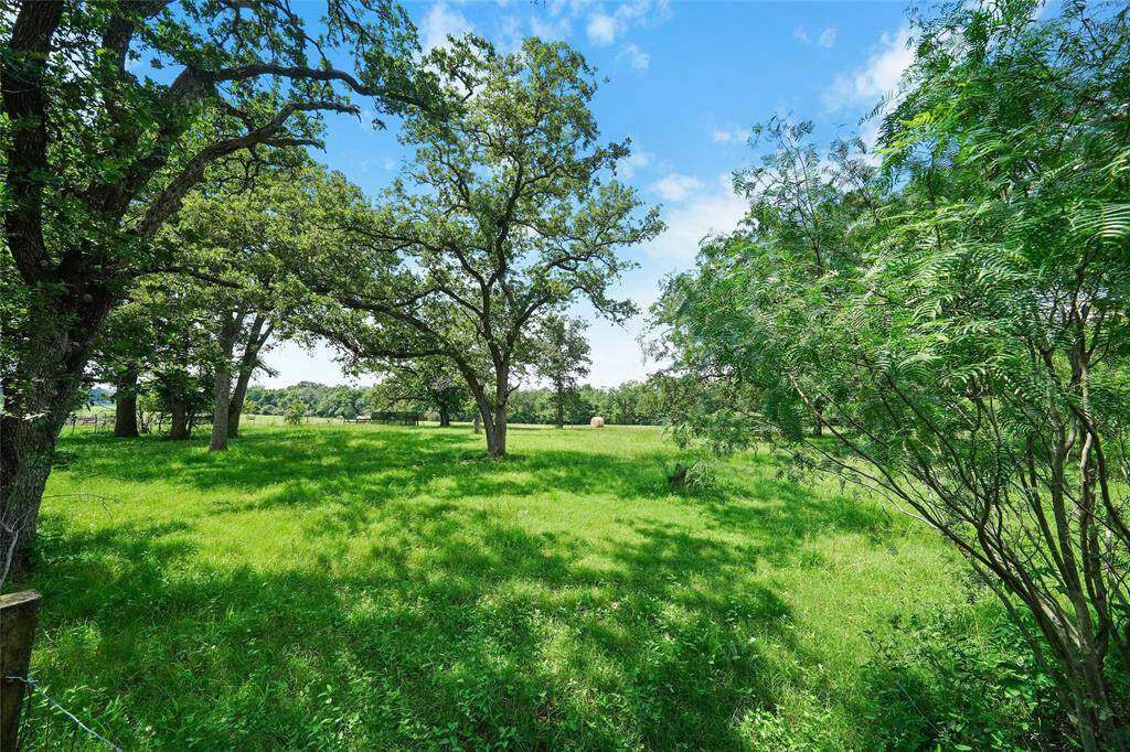 Unrestricted 3 Acres!
