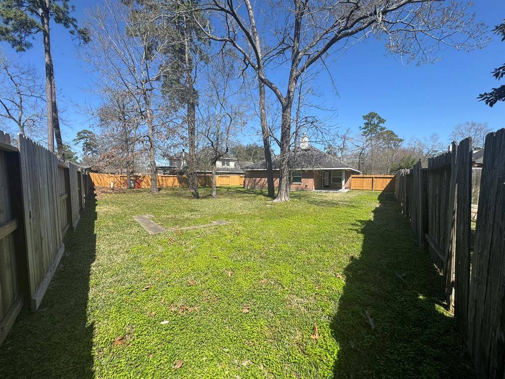 big back yard