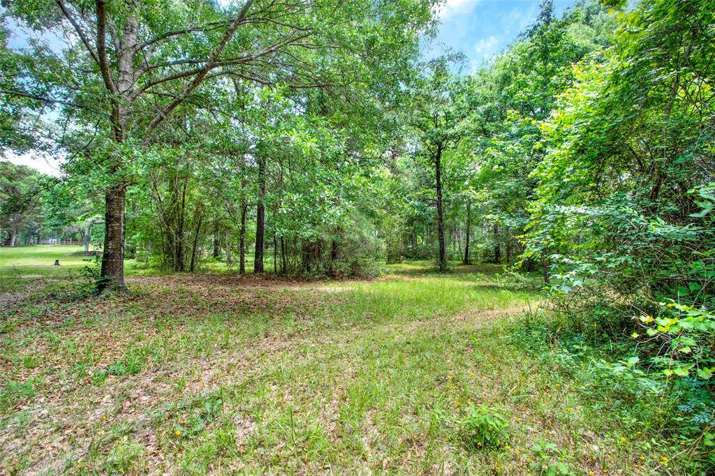 Glamp on your terms! Stunning tranquil spots on this 2+ acre spread!