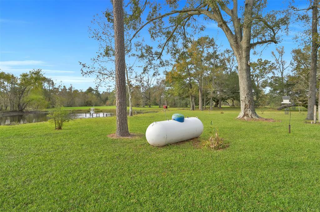 This photo showcases a serene backyard with a large lawn, scattered trees, and a small pond