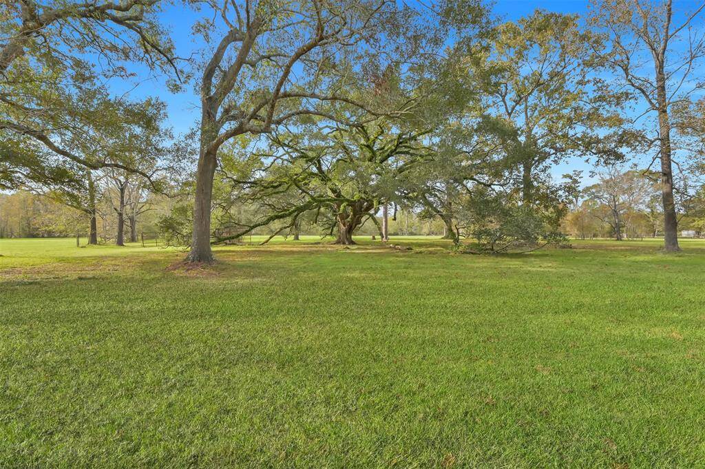 Spacious, lush green yard with mature trees, offering a serene and picturesque setting perfect for relaxation and outdoor activities.