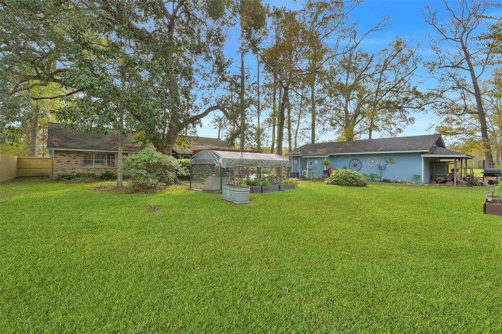 Spacious backyard with lush green lawn, ideal for outdoor living and gardening enthusiasts