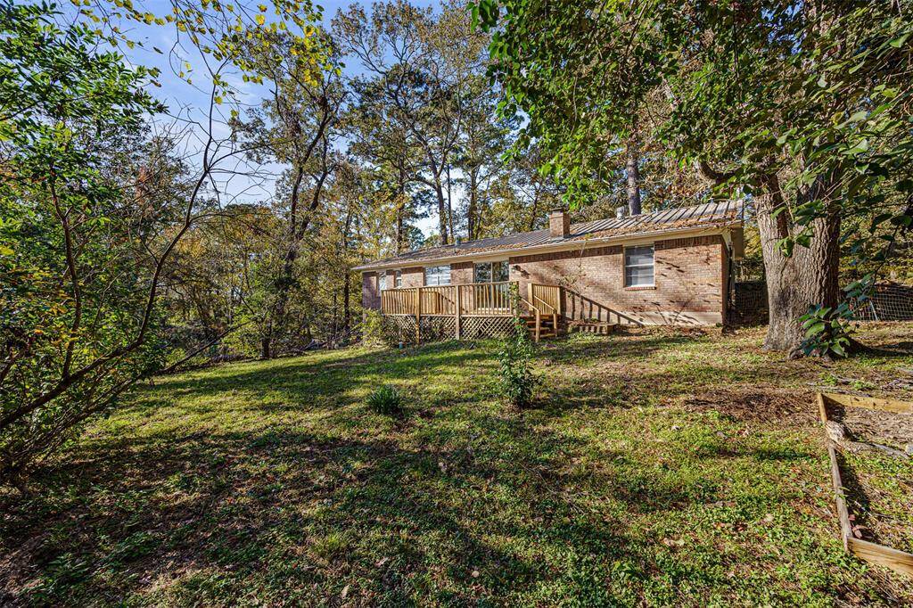 Rear Yard