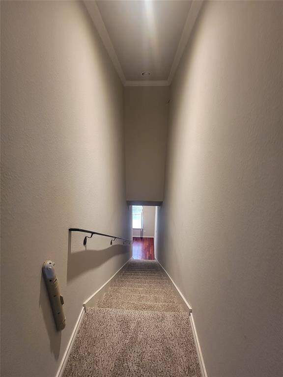 3rd level stairs view from the top