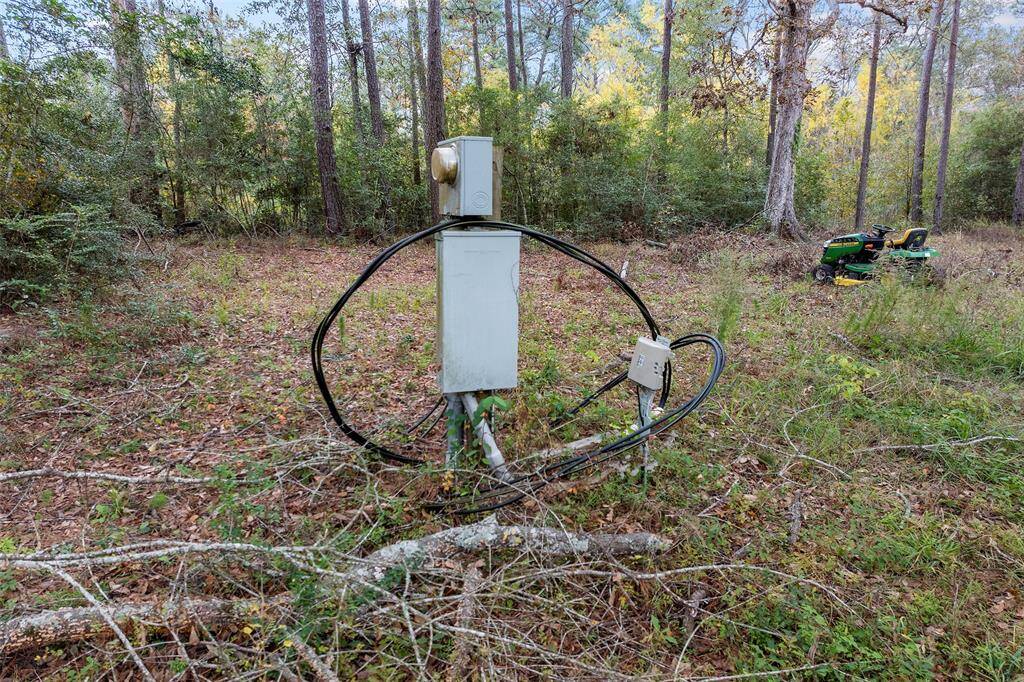 Electrical Box in the back that is structure