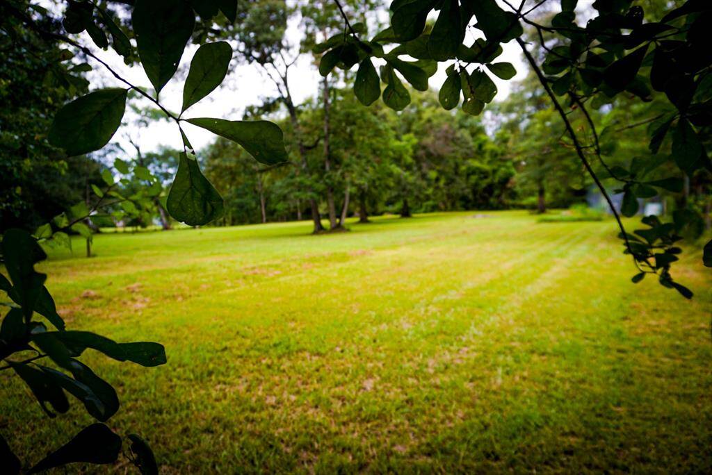 Cleared and fenced land adjacent to the property.