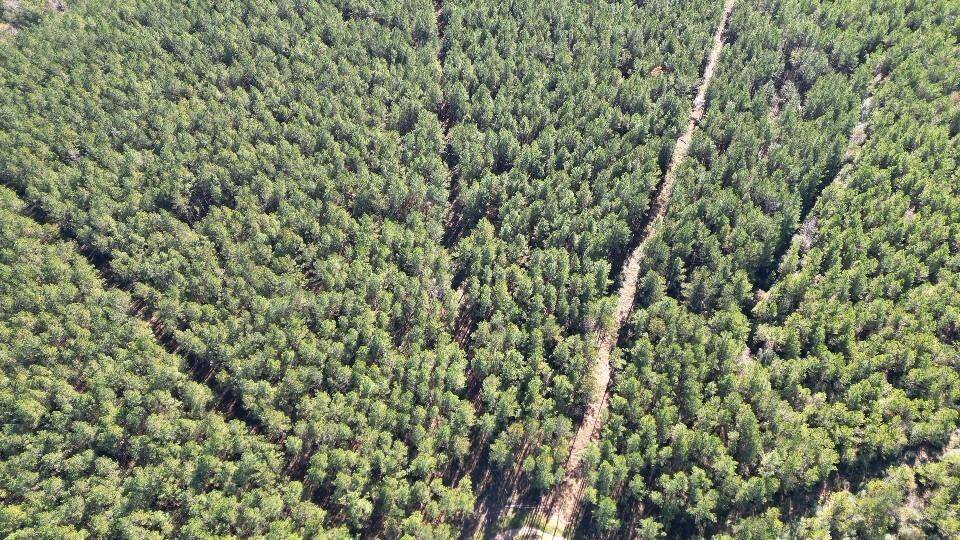 Aerial View Of The Land