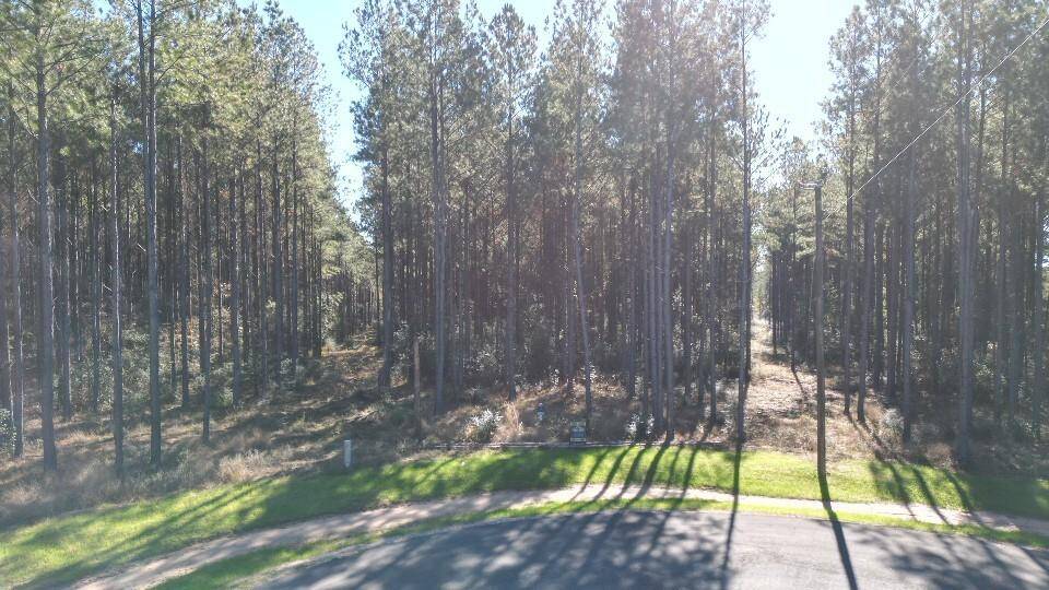 View Of The Land From The Front
