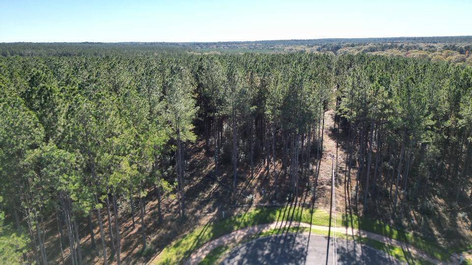 Another Aerial View