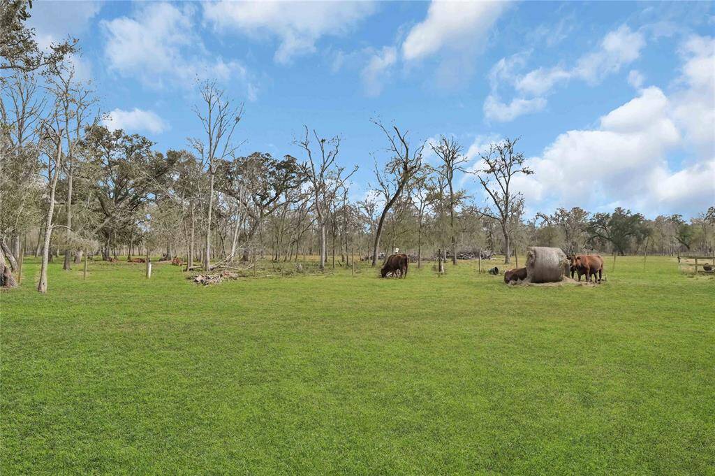 View of the rear of the pasture