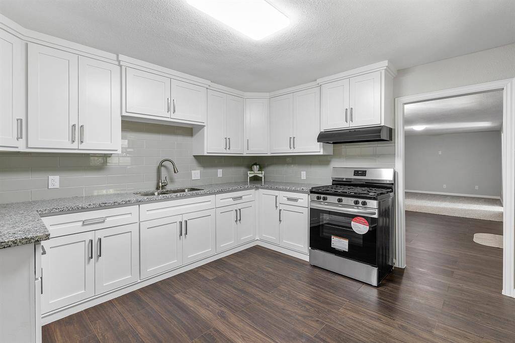 New gas stove and vent hood