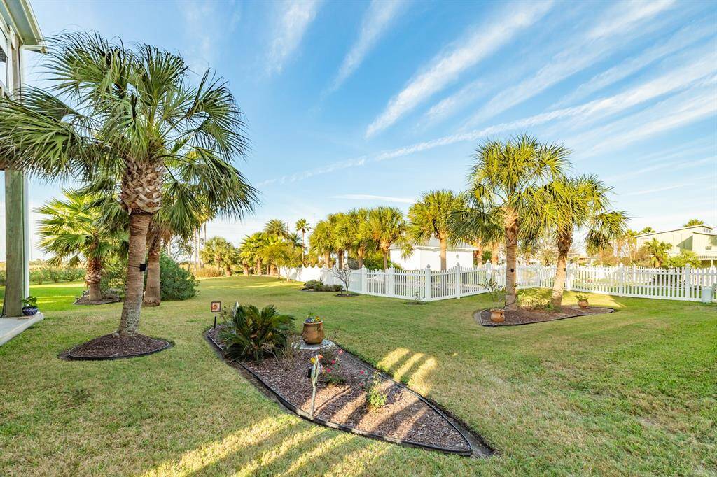 What a back yard! The 'Reserve' provides you with a wonderful collection of palms and green space. The fence in view is demarcating the neighbors property.