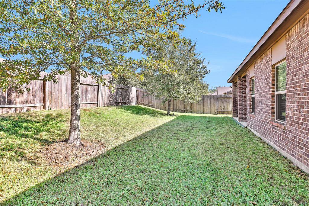 Back and side yards.