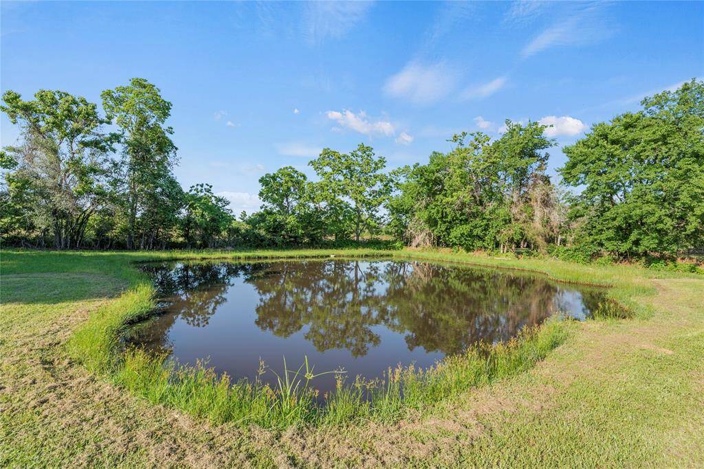 Pond on the property.
