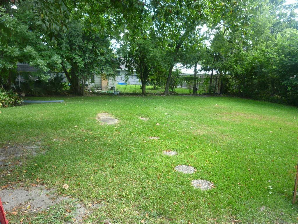 LARGE BACKYARD