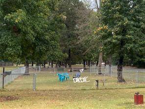 DOG PARK