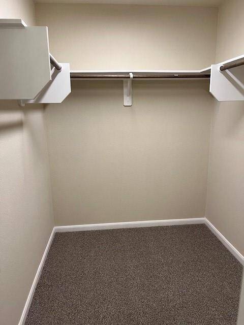 Spacious walk-in closet with new carpet, freshly painted walls, and ample built-in shelving and rods.