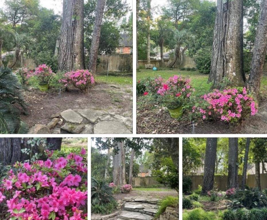 Experience the enchanting beauty of this backyard when the azaleas are in full bloom.