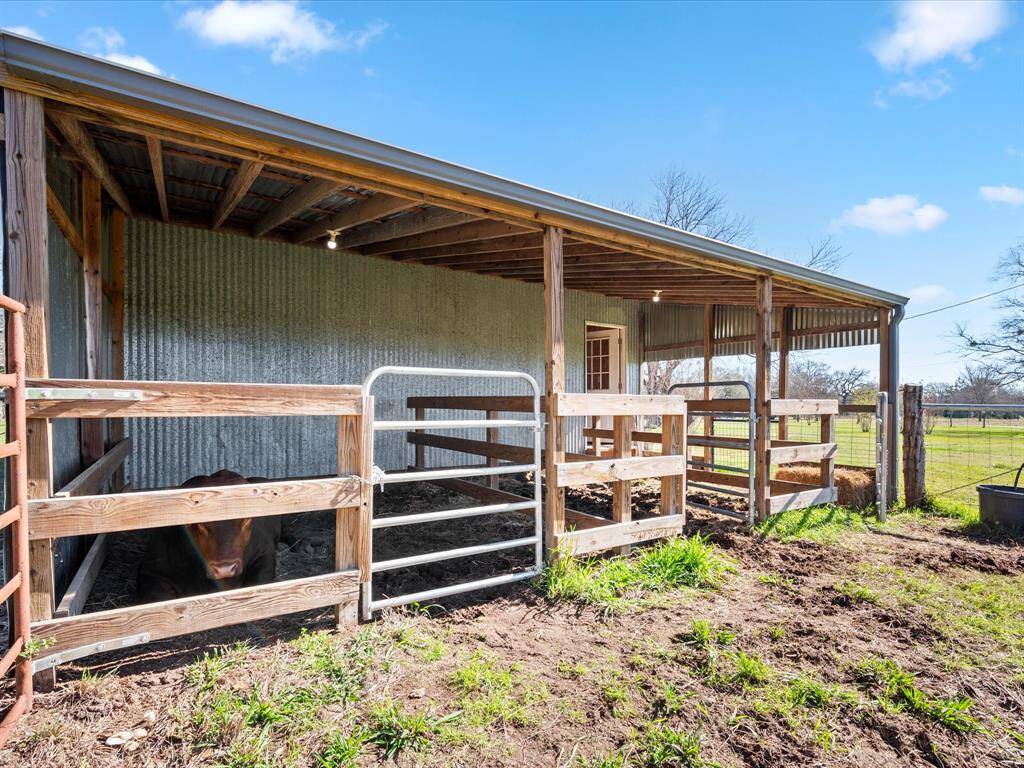 Stalls for Animals.