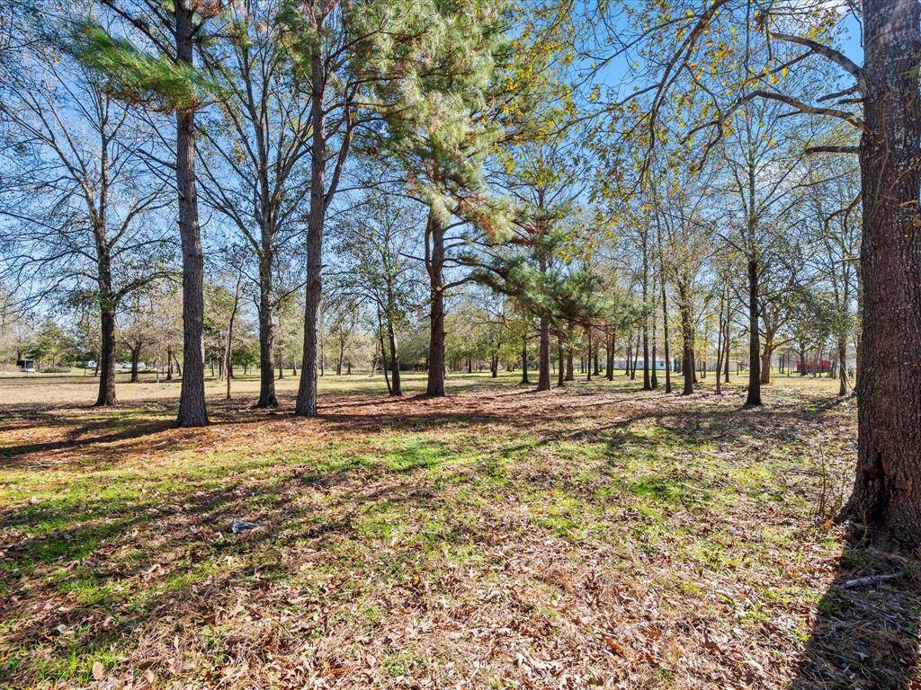 Beautiful Piece of Property, view from the furthest point of the property.