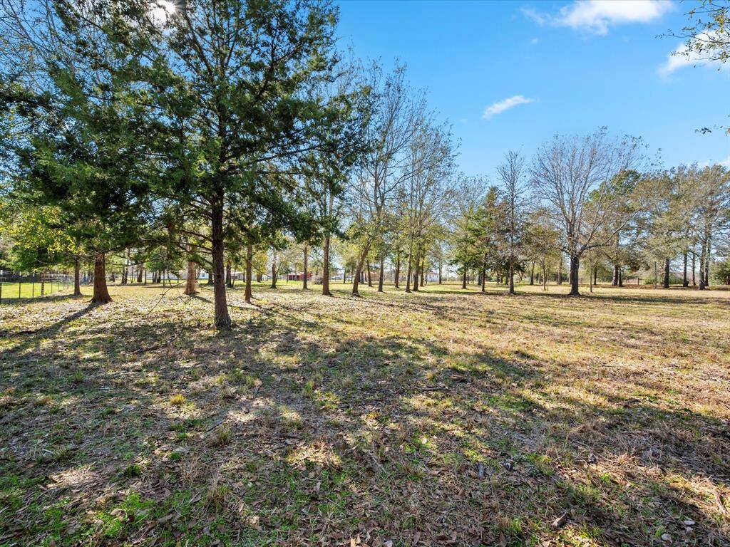 Additional view from the back of the property.