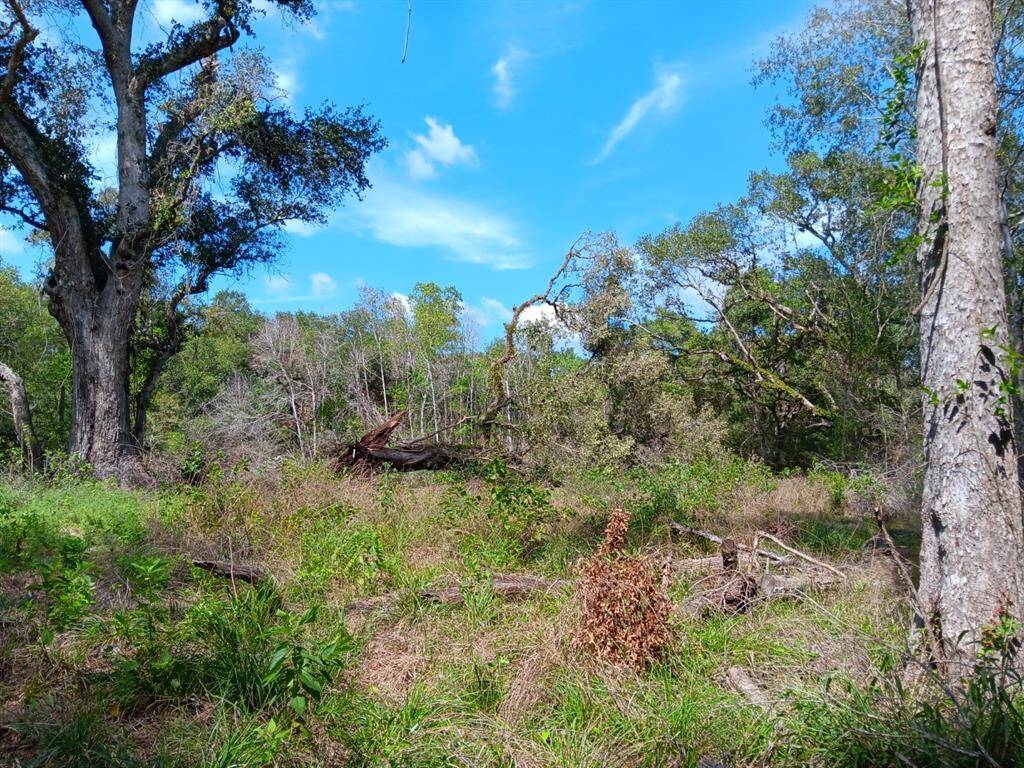 Plenty of trees frame your future home on this incredible lot.