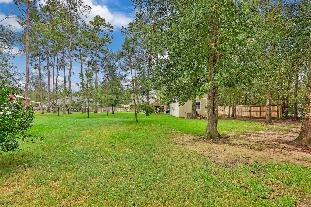Big backyard with space to roam.