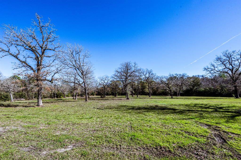 Serene backyard view of expansive, tree-lined land.