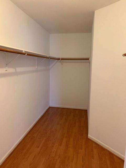 master walking closet