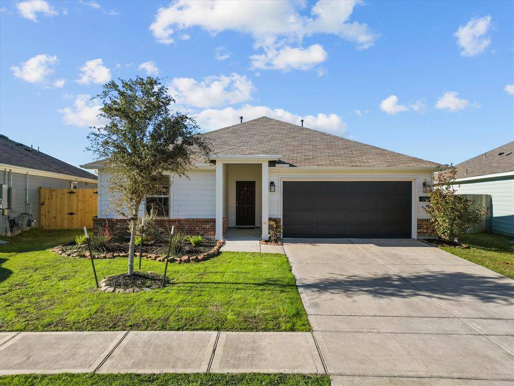 Oversized lot!