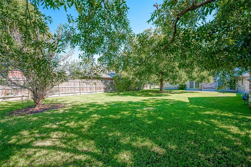 The backyard is canopied by mature shade trees, providing diffused lighting that allows grass to thrive while offering protection from Houston's hot summer sun. The natural shade creates a comfortable outdoor environment year-round.