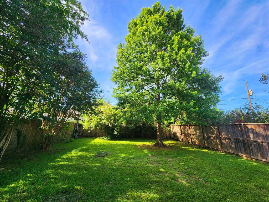 The outdoor green space at this home has so much potential! It's so gorgeous and unexpected.