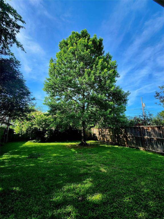 Backyard as seen from the back patio area.
