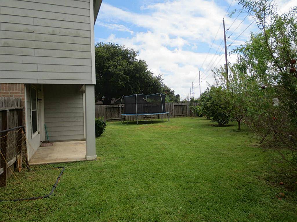 Big backyard with fruit bearing trees