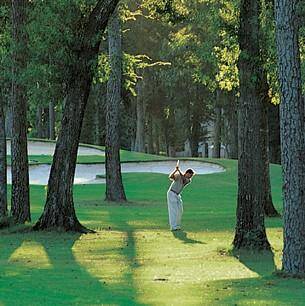 The Woodlands - Live*Work*PLAY!