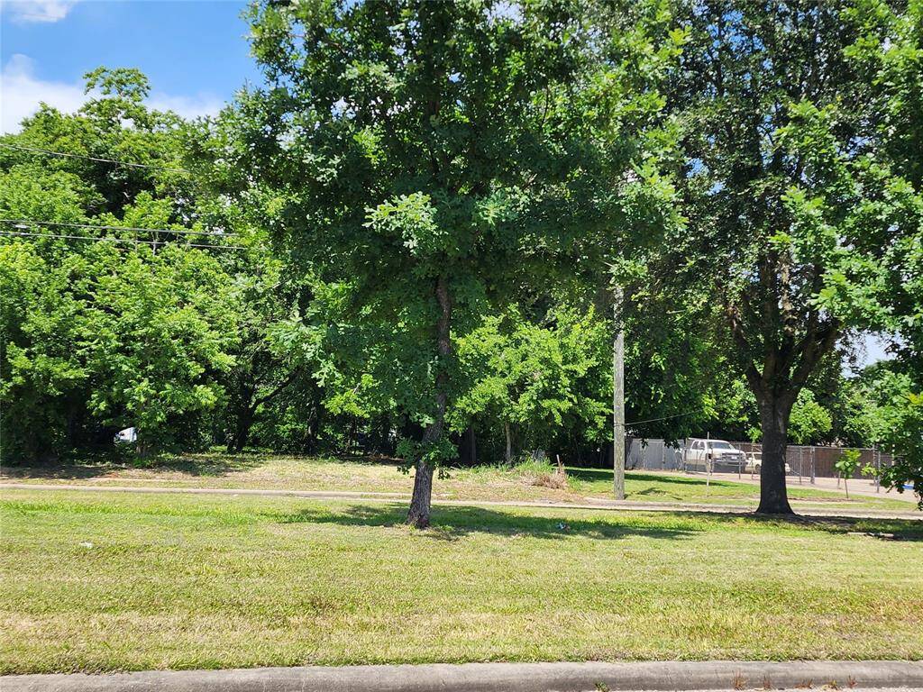 Elgin Street has a tree-lined esplanade shown here with 3229 Elgin Street on the far side.