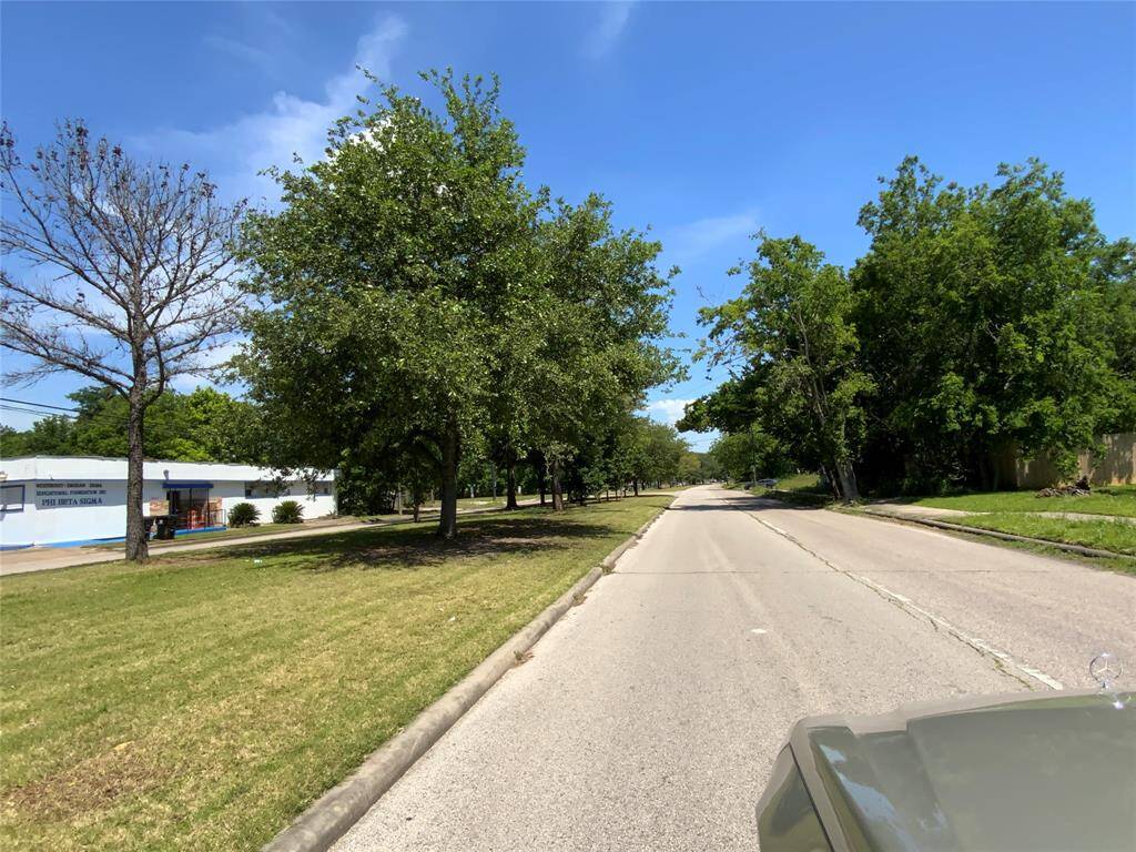 Tree-lined esplanade on Elgin Street