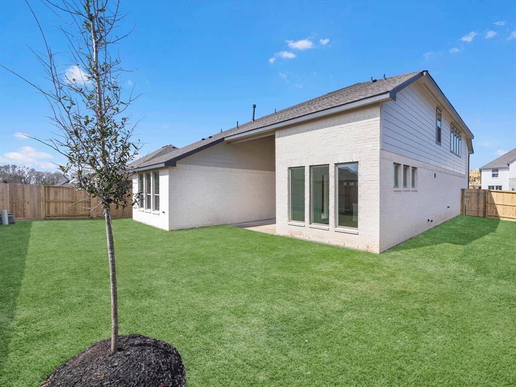 Green grass added to enhance photo.