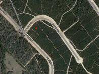 11816 Moss Grove Ct